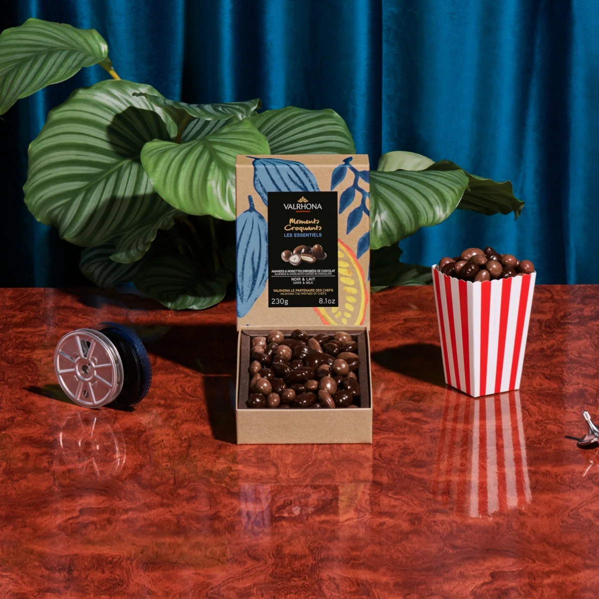 Box of Dark and Milk Chocolate-Covered Almonds and Hazelnuts - 8.1oz - Image 3